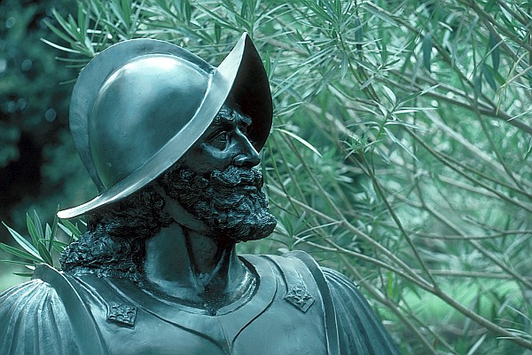 Recommendations: The BIG 5 for BIG D